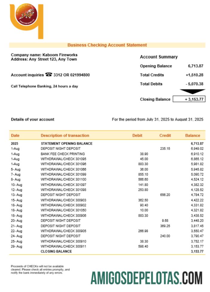 Realista Druk PNB Bank Firm modelo de extrato de conta Word e PDF